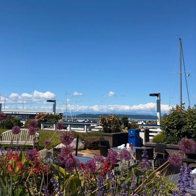 Marina boardwalk view 3